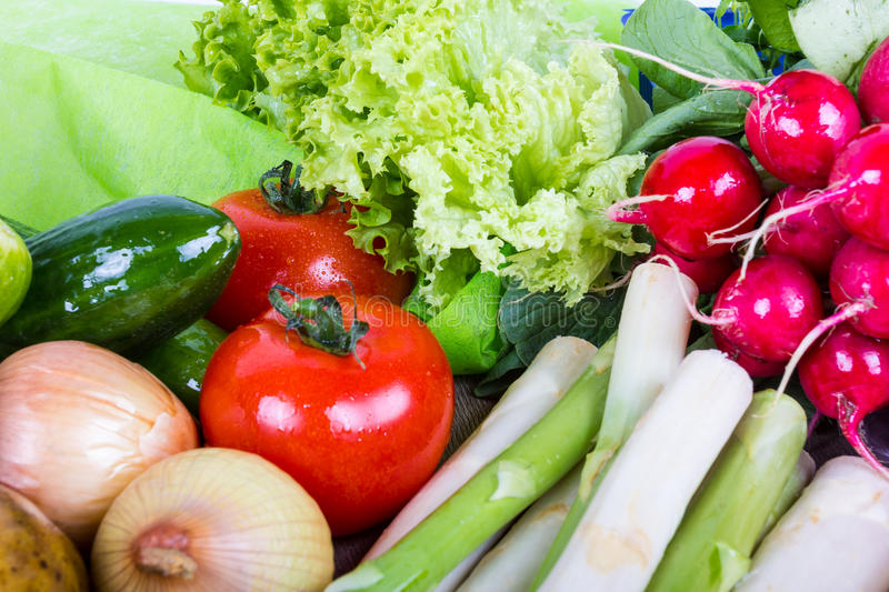 星空·综合体育_高冷又傲娇!《秋叶原之击》真田琴美角色预告(图1) 星空·综合体育