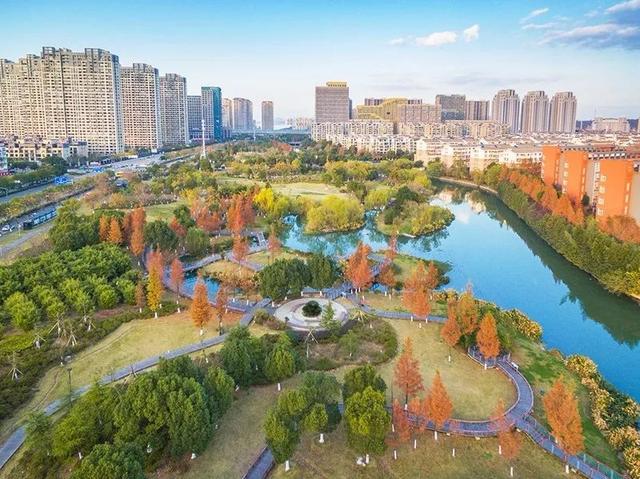 星空·综合体育_高冷又傲娇!《秋叶原之击》真田琴美角色预告(图3) 星空综合