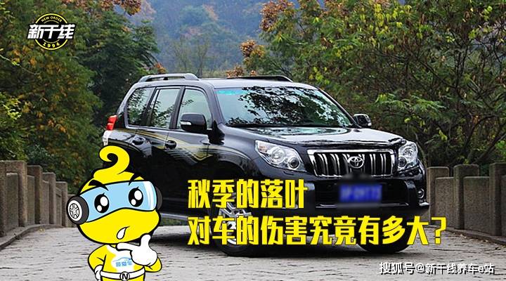 星空综合-
秋季的落叶对车的伤害究竟有多大?【新干线养车秘笈】(图2) 星空综合-
秋季的落叶对车的伤害究竟有多大?【新干线养车秘笈】(图2)