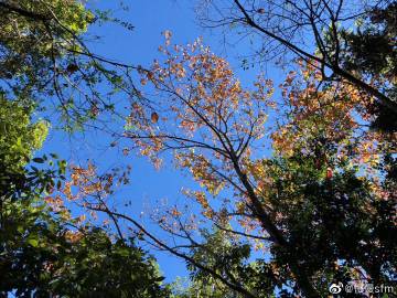 星空·综合体育