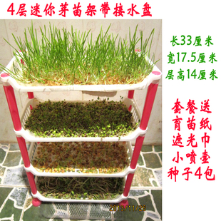 8月新游推荐:《方舟:生存进化》《星际争霸》等-星空·综合体育(图2) 星空综合