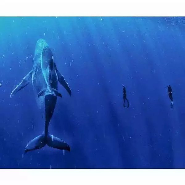 ‘星空·综合体育’2018年12月IPO企业最新排队情况 278家企业已过会34家(图2) 星空·综合体育