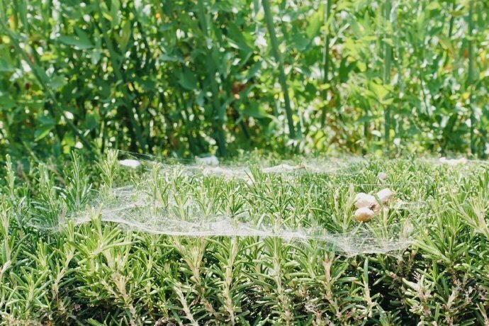 星空·综合体育