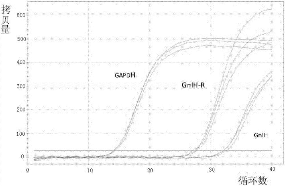 星空·综合体育