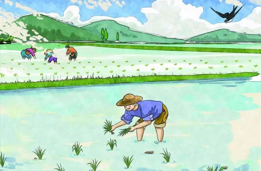 星空·综合体育