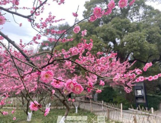 玩《ABZU》根本不过瘾?不如来尝试这些深海游戏|星空·综合体育(图1) 星空·综合体育