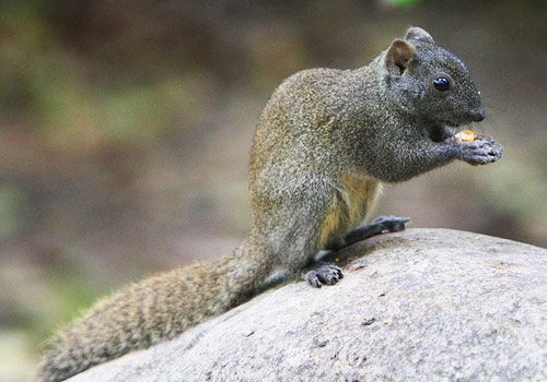 《堡垒之夜》7月25日正式发售 E3 2017预告公开【星空综合】(图3) 星空综合