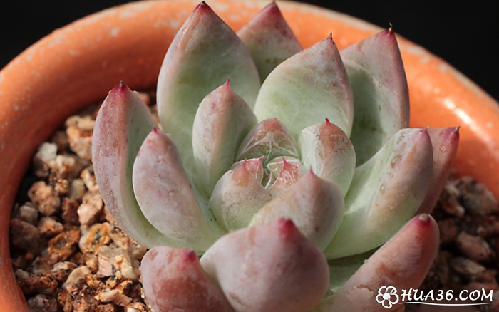 【星空·综合体育】《VR女友》已在Steam正式发布 界面支持简体中文(图1) 星空·综合体育