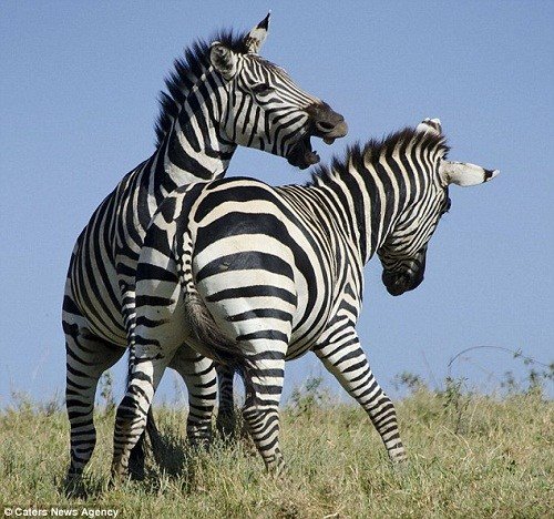 星空·综合体育