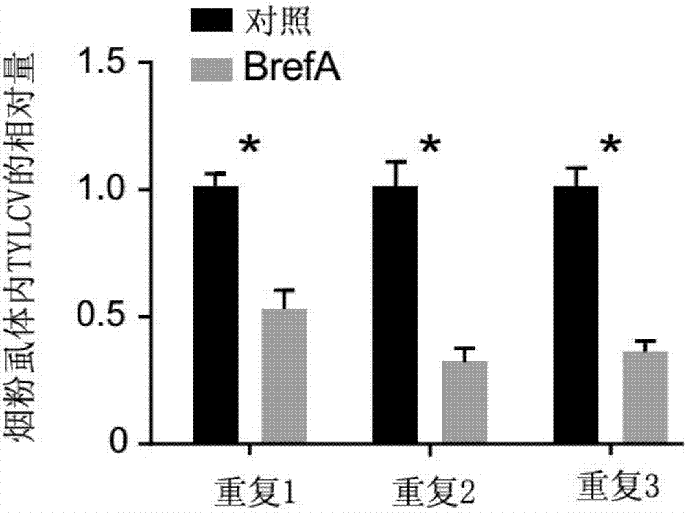 臭屁也能秒杀敌人!《上古卷轴5》中的搞怪Mod:星空综合(图1) 星空综合