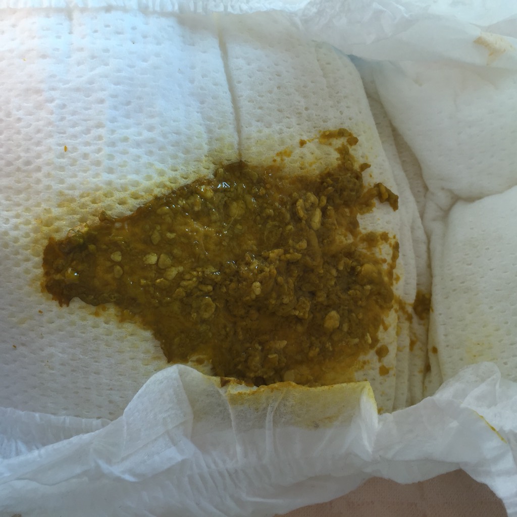 【星空综合】《Shu》《扩张帝国》《基佬大乱斗》将参展TGS2017(图3) 星空综合