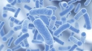 ‘星空·综合体育’《轩辕剑7》年底开始公测 誓要超越《剑网叁》(图1) 星空综合