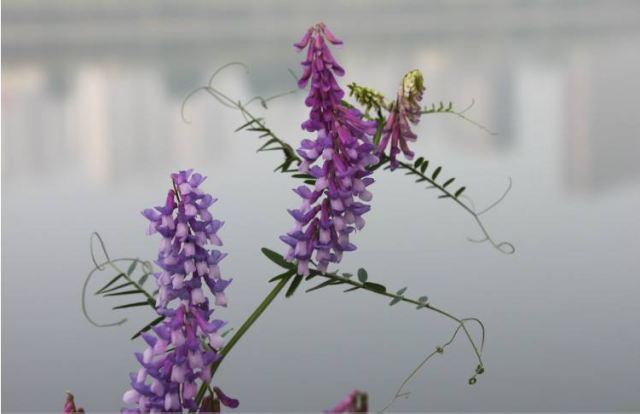 《暗黑血统》系列正式引入国内 经典再度延续“星空·综合体育”(图1) 星空·综合体育