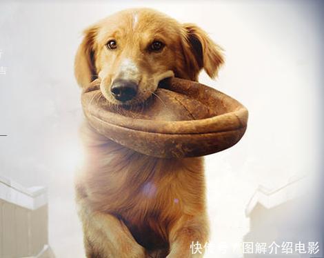 星空·综合体育