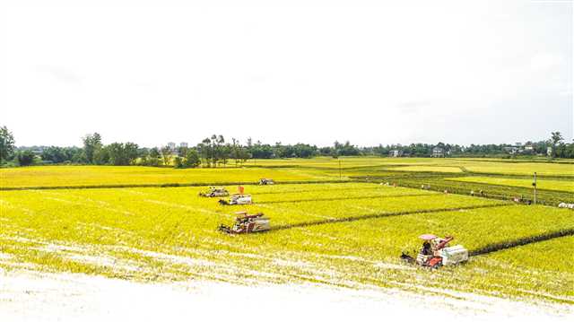 星空·综合体育